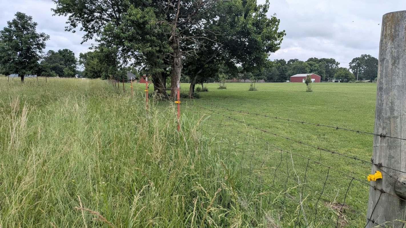A lush grassy field bordered by a fence, with a few trees and a red barn in the background under a cloudy sky.