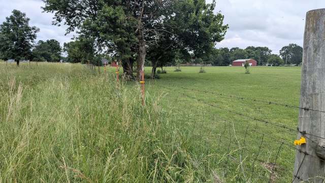 A lush grassy field bordered by a fence, with a few trees and a red barn in the background under a cloudy sky.