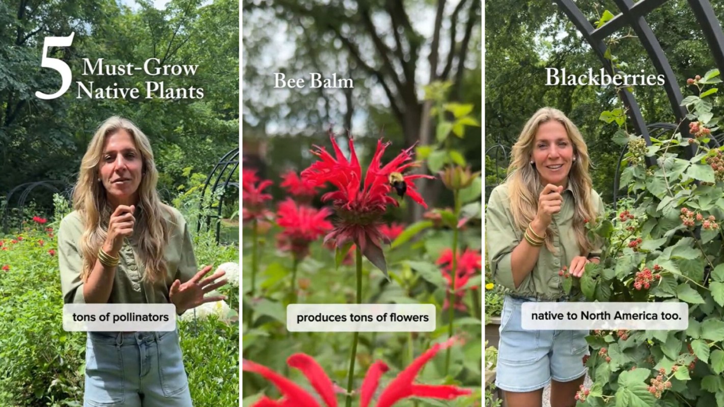 A woman presents native plants in a garden, highlighting Bee Balm and Blackberries for their ecological benefits.