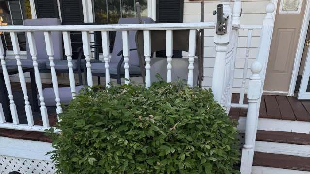 A white porch with a railing, a green bush, and several chairs in the background.
