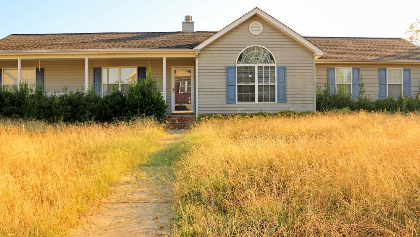 An abandoned single-story house with blue shutters surrounded by unkempt, dry grass on a sunny day.