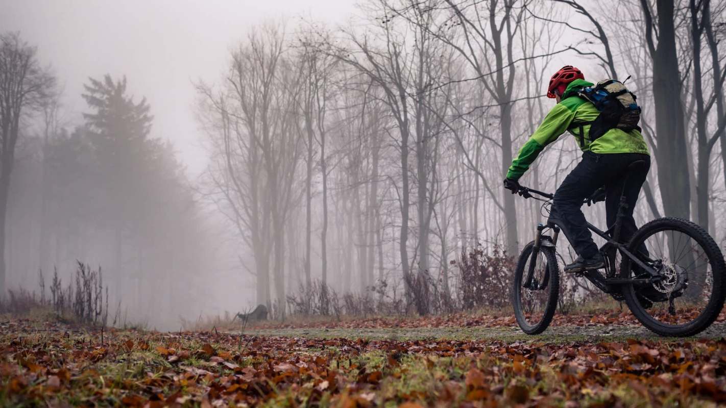 A cyclist in a green jacket rides through a foggy forest with fallen leaves covering the ground.