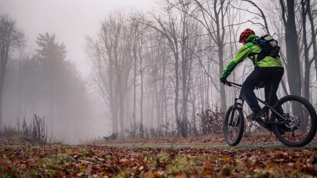 A cyclist in a green jacket rides through a foggy forest with fallen leaves covering the ground.