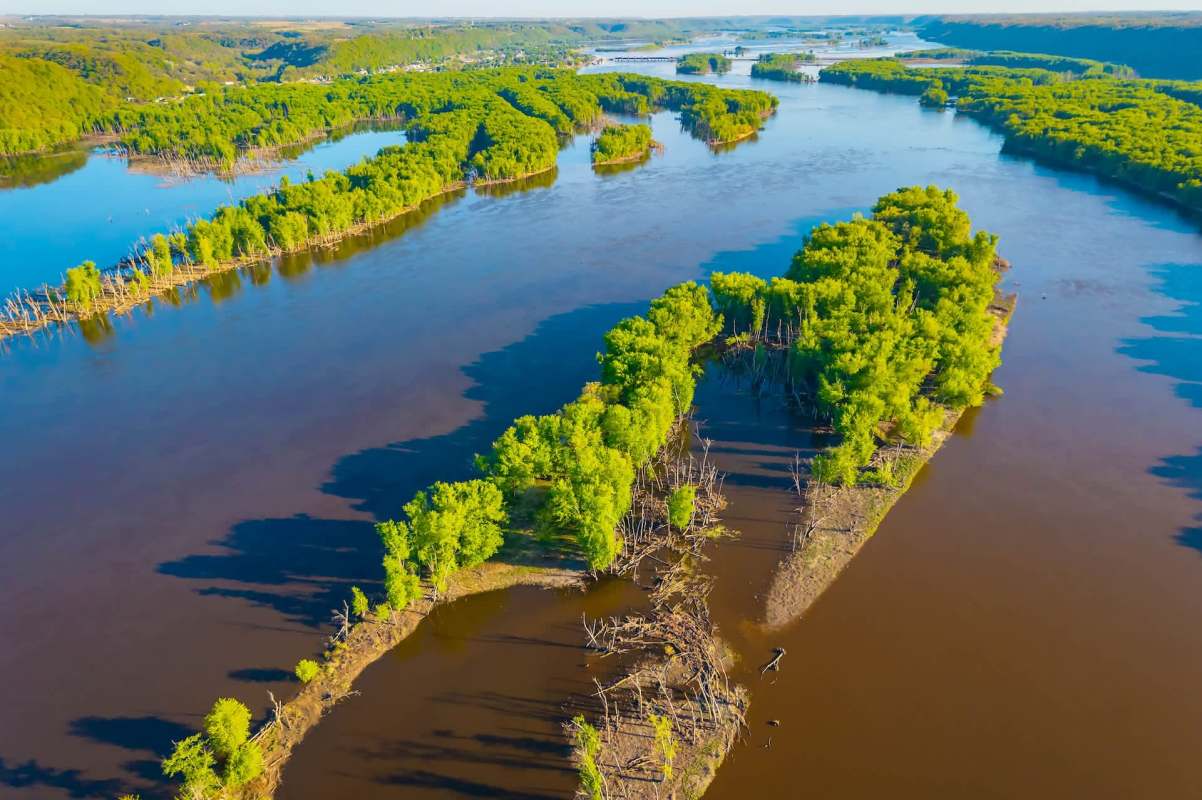 Aerial view of a winding river surrounded by lush green islands and remnants of trees in the water.