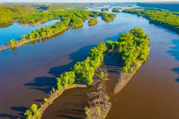 Aerial view of a winding river surrounded by lush green islands and remnants of trees in the water.