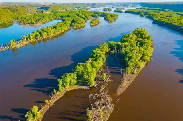 Aerial view of a winding river surrounded by lush green islands and remnants of trees in the water.