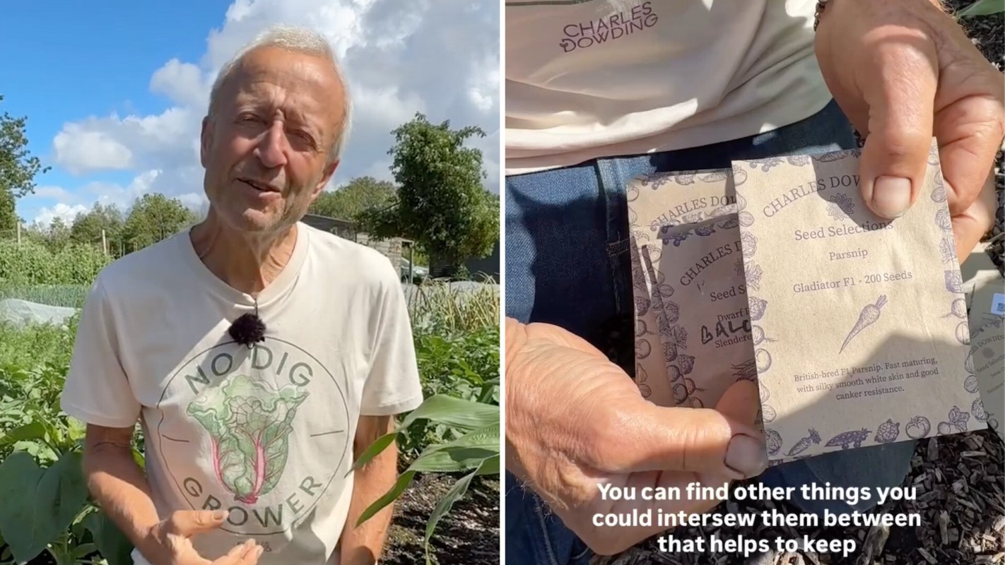 A man in a garden holds seed packets, discussing gardening techniques.