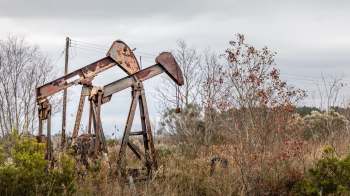 Two rusted oil pump jacks stand amid overgrown vegetation.