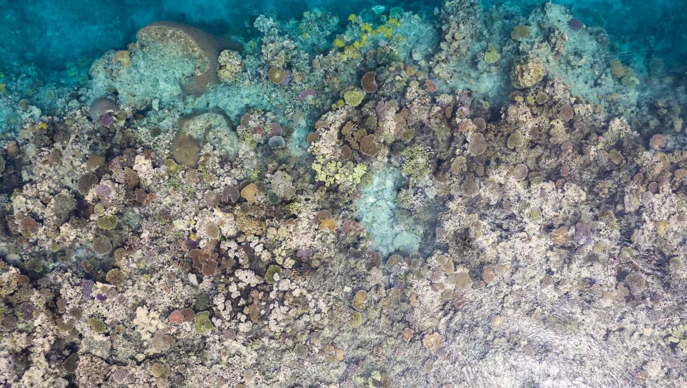 Aerial view of a graying coral reef under clear turquoise water.