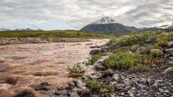 A pinkish river flows through rocky terrain with purple wildflowers, set against a mountainous landscape and cloudy sky.