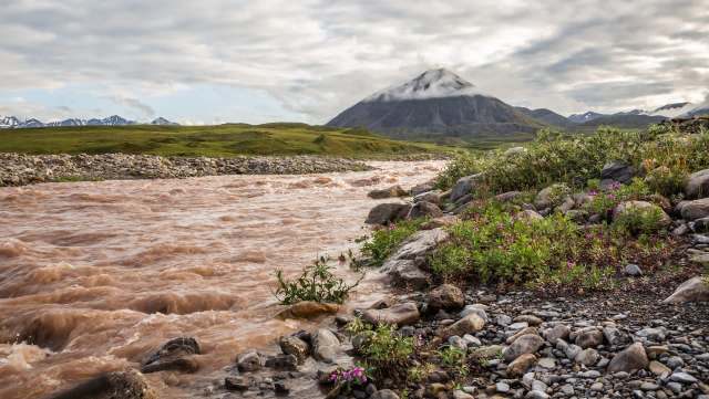 A pinkish river flows through rocky terrain with purple wildflowers, set against a mountainous landscape and cloudy sky.