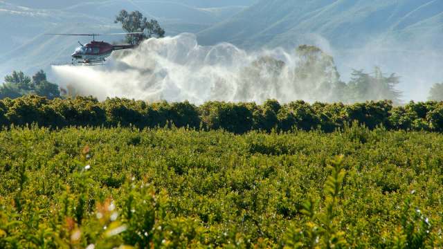A helicopter sprays pesticide over a lush green vineyard surrounded by rolling hills.