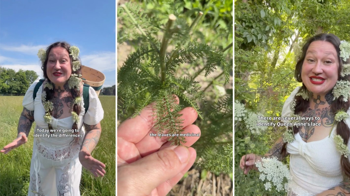 A tattooed woman in a white dress and flower crown teaches about identifying Queen Anne's lace in a field.