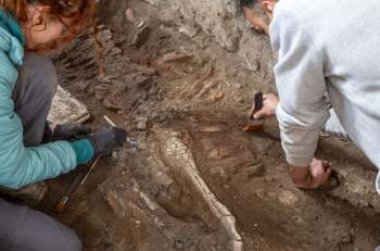 Two archaeologists carefully excavate a site, brushing away dirt to reveal ancient artifacts.