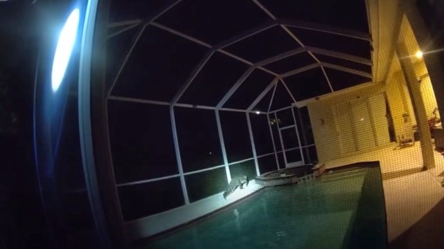 A dimly lit pool area at night with an alligator by the edge of the water inside a screened enclosure.