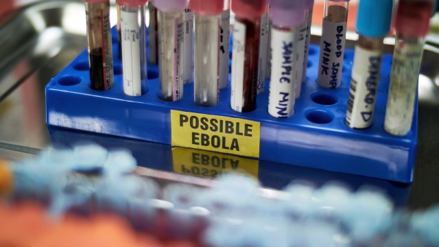 Test tubes labeled with various sample types are organized in a rack marked "Possible Ebola."