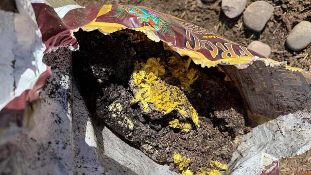 A partially open bag of soil shows yellow mold growing within dark, damp soil.
