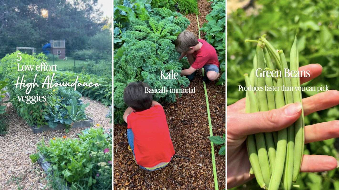 A garden showcasing low-effort vegetables with children harvesting kale and a hand holding fresh green beans.