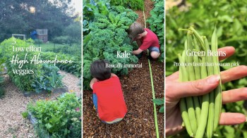 A garden showcasing low-effort vegetables with children harvesting kale and a hand holding fresh green beans.