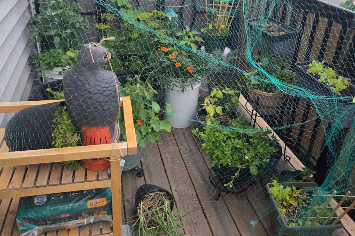 A balcony garden filled with various plants, a plastic bird statue, and green netting for protection.