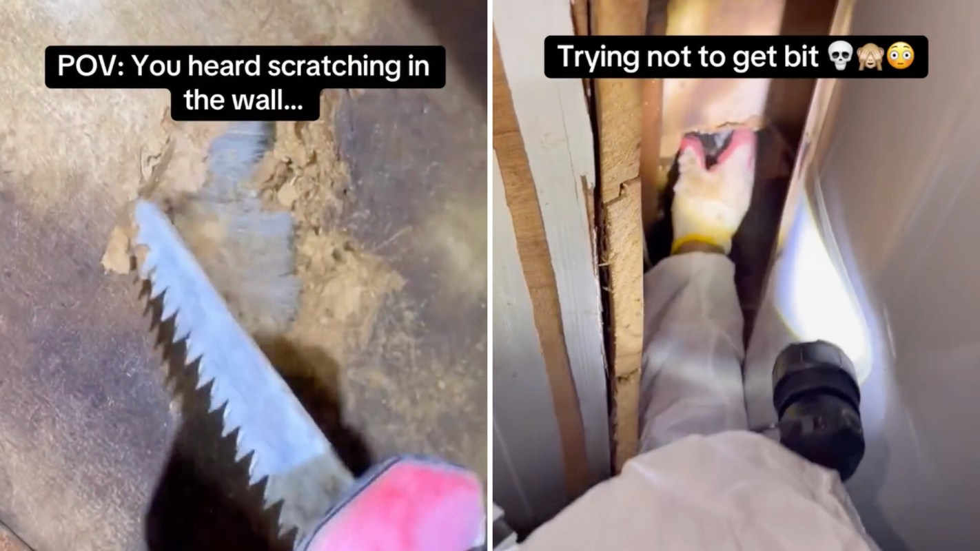 A person digging at a wall with a serrated tool while peering into a narrow gap, looking cautious.