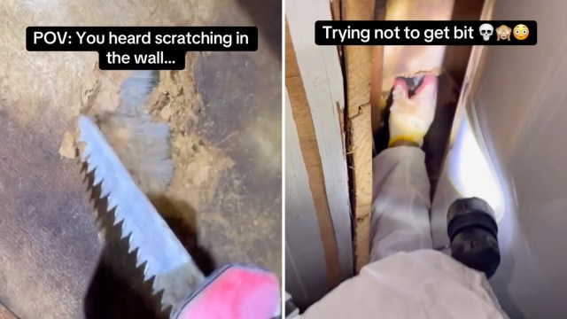 A person digging at a wall with a serrated tool while peering into a narrow gap, looking cautious.