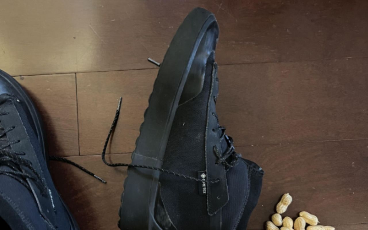 A close-up of a black sneaker on wooden floor, with scattered peanuts nearby.