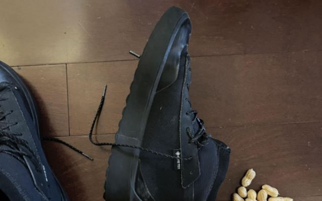 A close-up of a black sneaker on wooden floor, with scattered peanuts nearby.