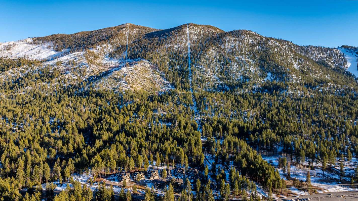 A panoramic view of snow-capped mountains surrounded by dense pine forests under a clear blue sky.