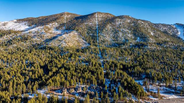 A panoramic view of snow-capped mountains surrounded by dense pine forests under a clear blue sky.
