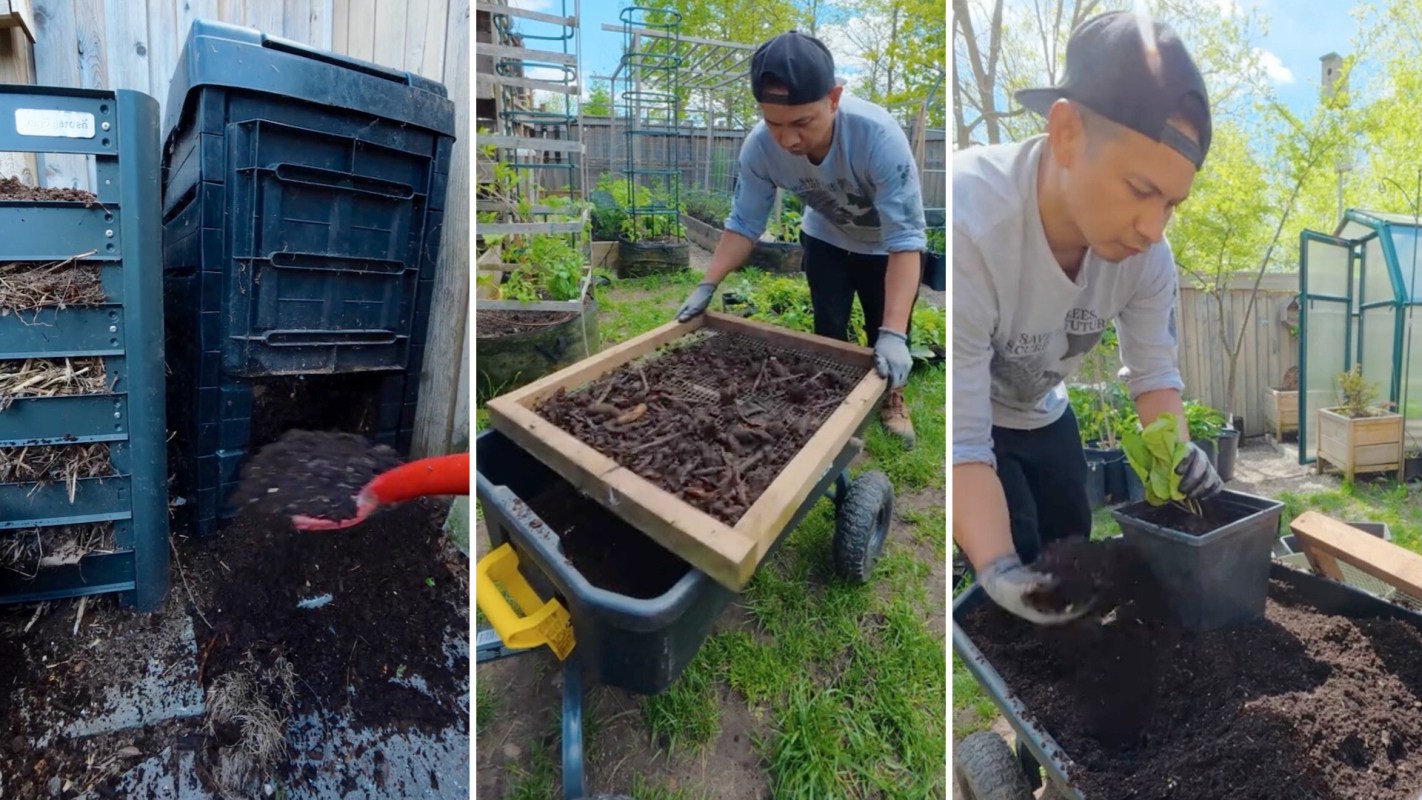 A person composts soil in a garden, sifts some using a wheelbarrow and plants seedlings in a pot.