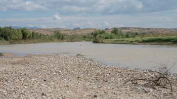 A tranquil riverbank scene with low water levels, pebbles, muddy water, and lush greenery under a partly cloudy sky.