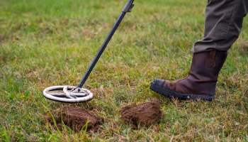 A person using a metal detector on grassy ground with freshly dug soil visible nearby.