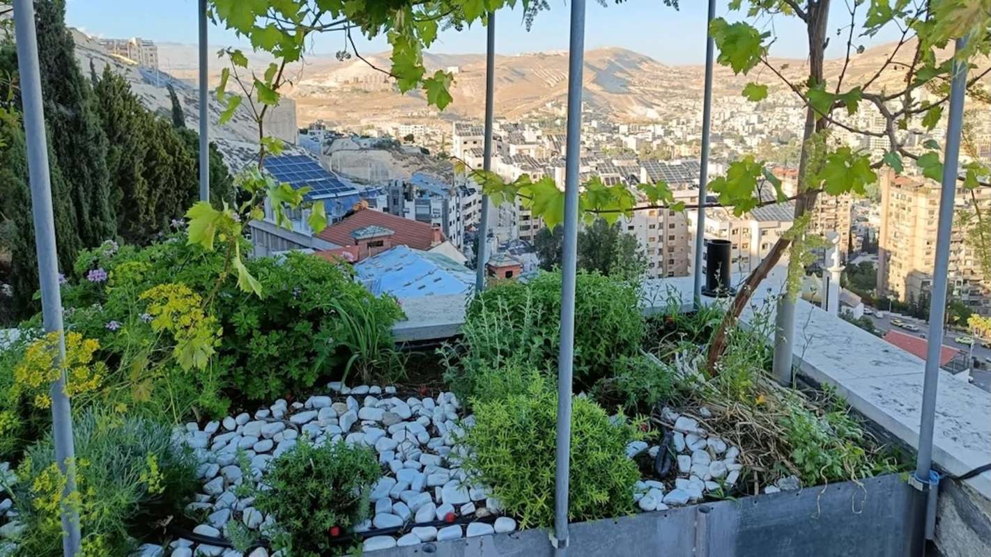 A rooftop garden filled with greenery and flowers, overlooking a cityscape and distant hills.