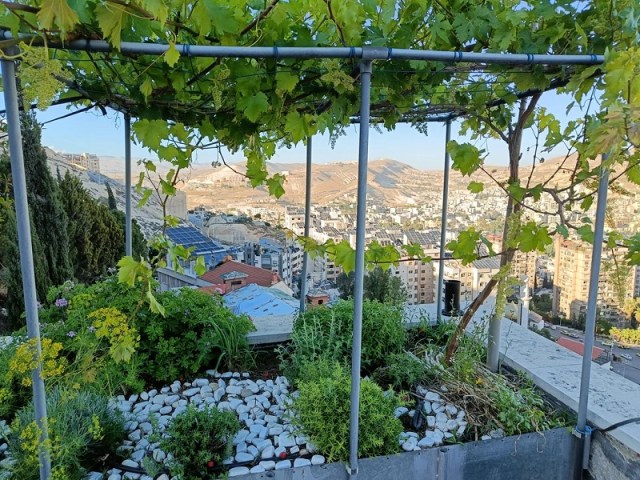 A rooftop garden filled with greenery and flowers, overlooking a cityscape and distant hills.