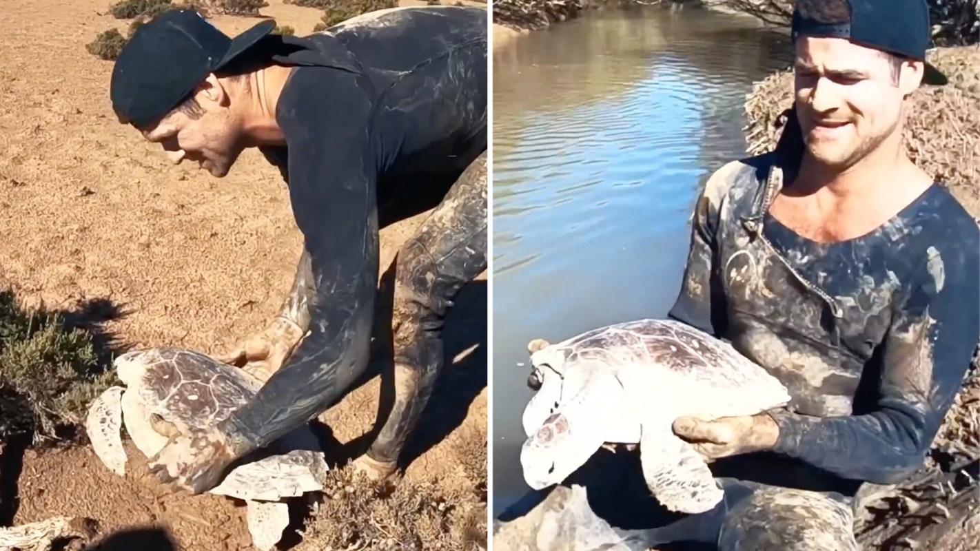 A person in a black shirt holds a turtle while standing in a muddy area near water.