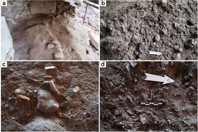 Artifacts and bone fragments at an archeological excavation site.