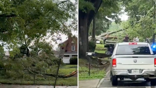 Fallen trees blocking streets.