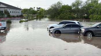 Several cars partially submerged in floodwaters.