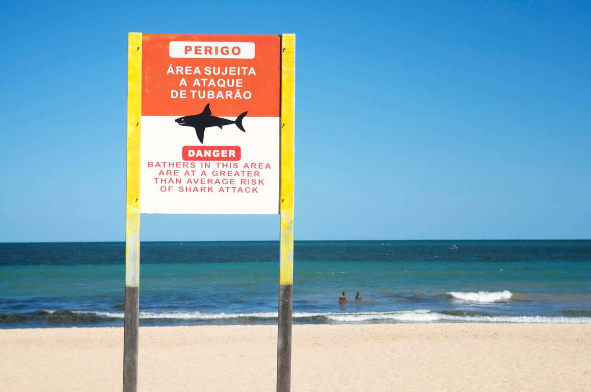 A warning sign at the beach indicates a greater risk of shark attacks in the area.