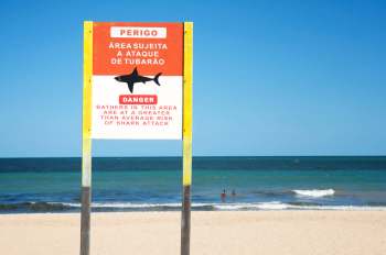A warning sign at the beach indicates a greater risk of shark attacks in the area.