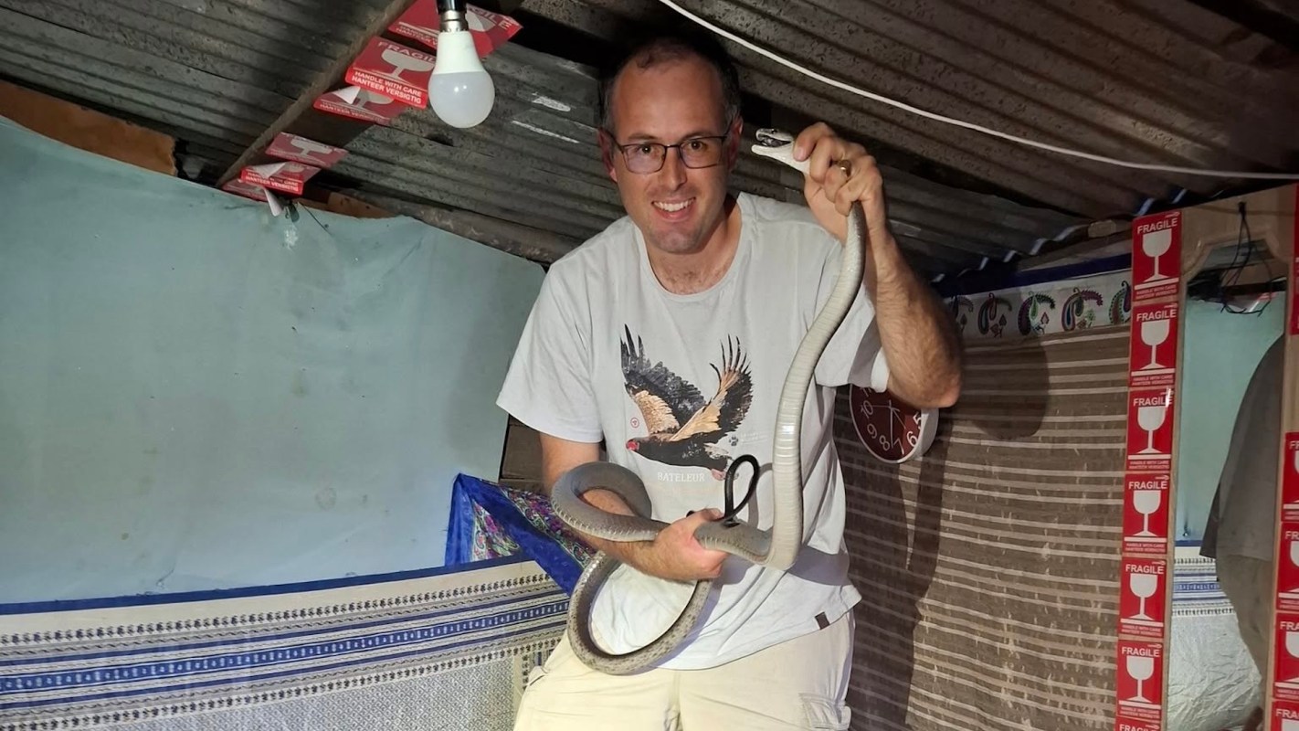 A man holds a snake while standing in a dimly lit room with colorful decorations and a hanging light.
