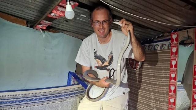 A man holds a snake while standing in a dimly lit room with colorful decorations and a hanging light.