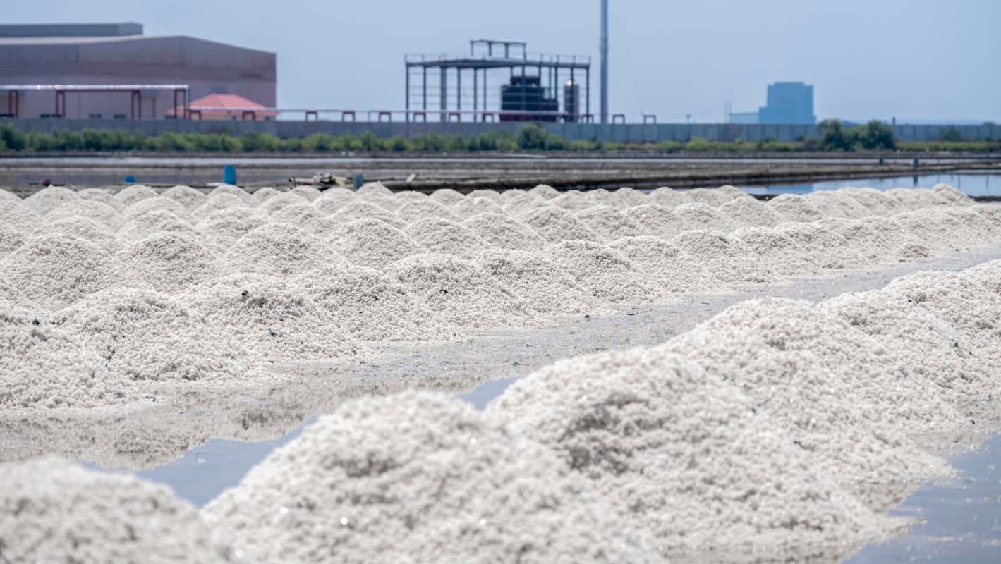 Piles of white salt are arranged across a sunlit salt flat with structures in the background.
