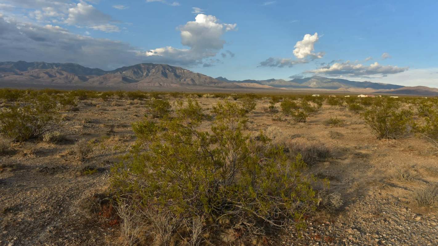 A desert landscape with sparse vegetation and distant mountains under a partly cloudy sky.