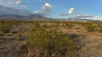 A desert landscape with sparse vegetation and distant mountains under a partly cloudy sky.