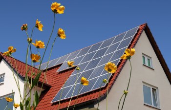 A house with a red roof features solar panels and tall yellow flowers in the foreground under a blue sky.