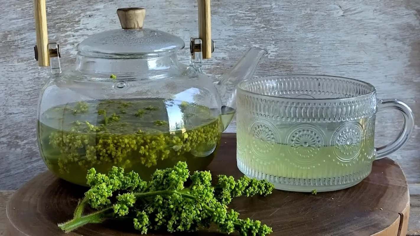 A glass teapot filled with herbal tea and a decorative glass cup sit on a wooden surface with fresh herbs beside them.