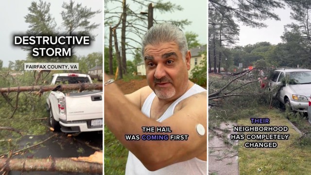 A man in a tank top describes damage from a destructive storm with fallen trees and damaged vehicles in Fairfax County, VA.