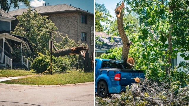 A fallen tree on a house and a blue pickup truck, surrounded by broken branches and debris.